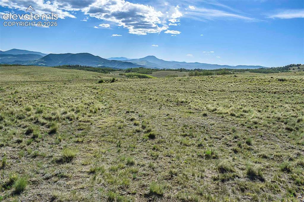 00 Bear Cat Road Guffey CO 80820