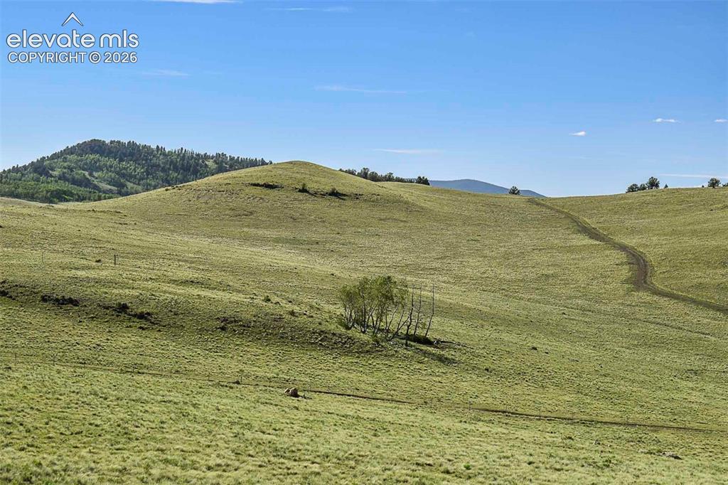 00 Bear Cat Road Guffey CO 80820