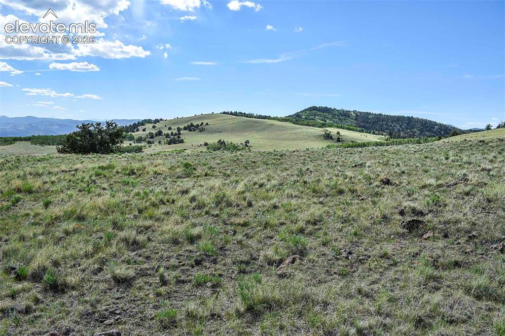 00 Bear Cat Road Guffey CO 80820