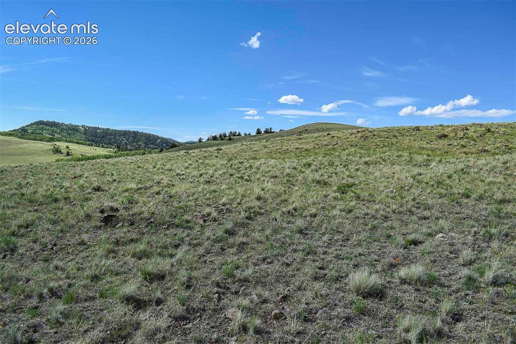 00 Bear Cat Road Guffey CO 80820