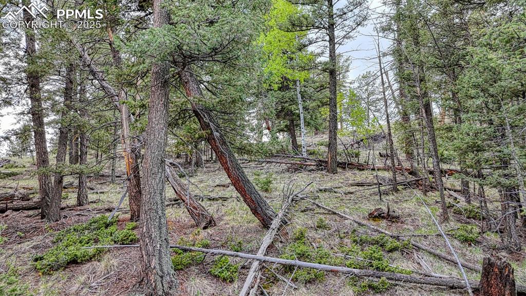 918 Pinon Lane Florissant CO 80816