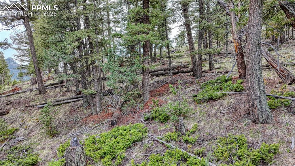 918 Pinon Lane Florissant CO 80816