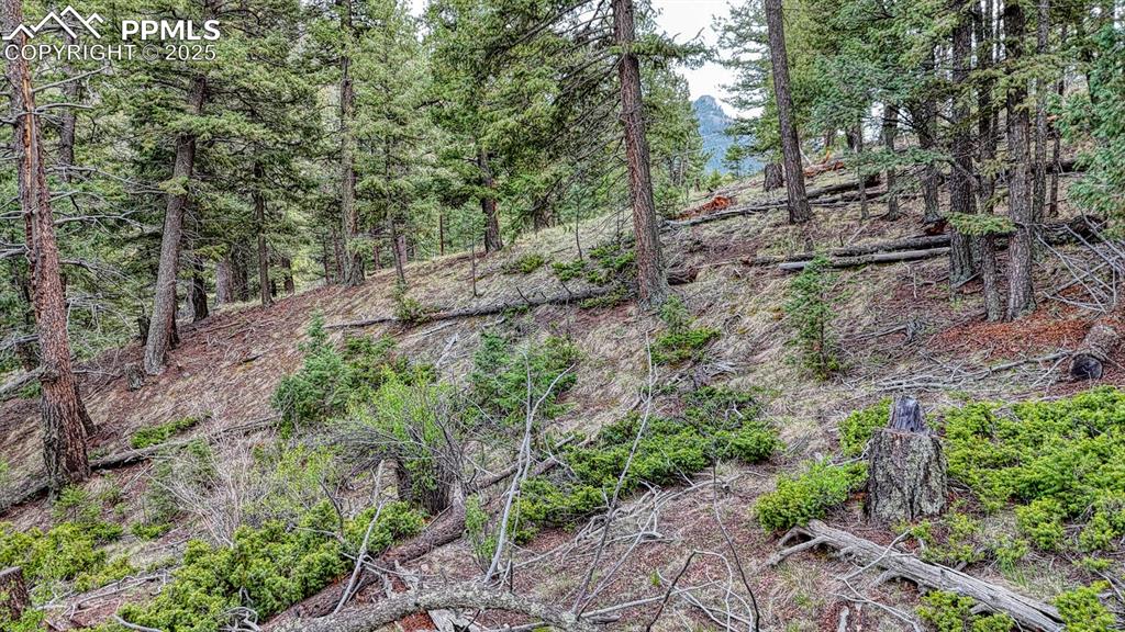 918 Pinon Lane Florissant CO 80816