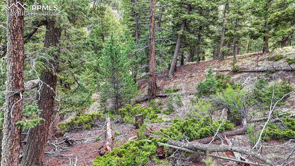 918 Pinon Lane Florissant CO 80816