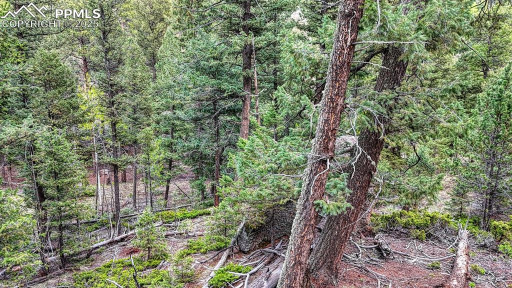 918 Pinon Lane Florissant CO 80816
