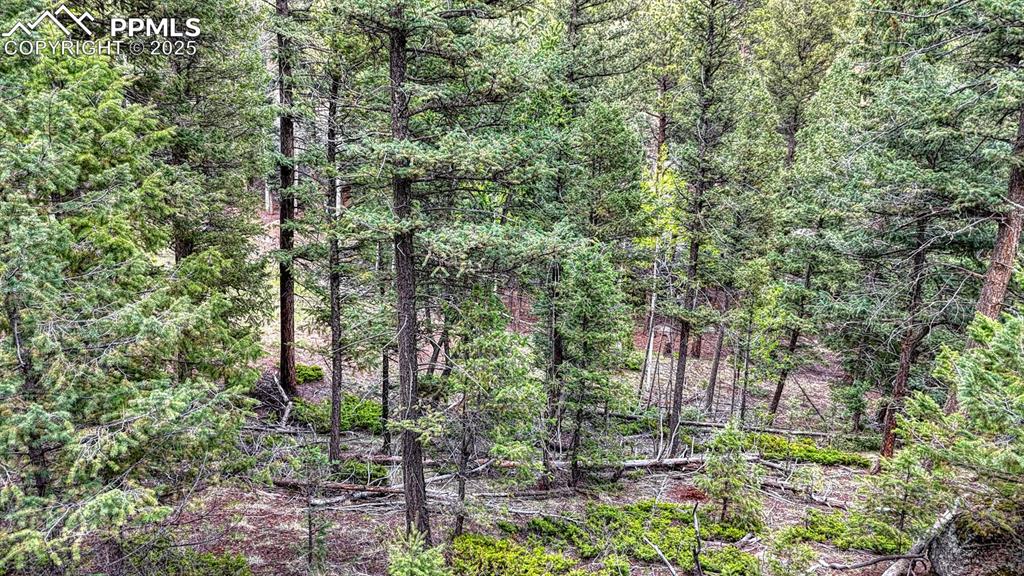 918 Pinon Lane Florissant CO 80816