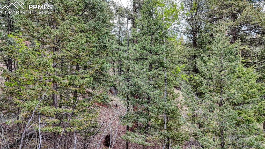 918 Pinon Lane Florissant CO 80816