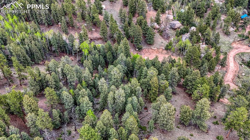 918 Pinon Lane Florissant CO 80816