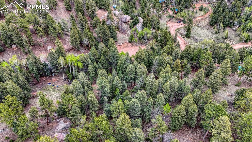 918 Pinon Lane Florissant CO 80816