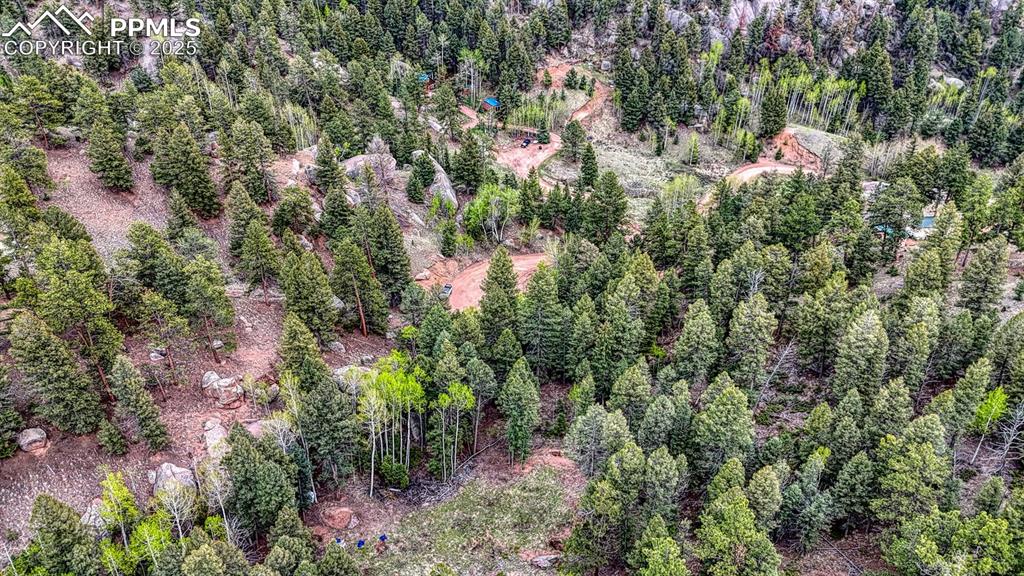 918 Pinon Lane Florissant CO 80816