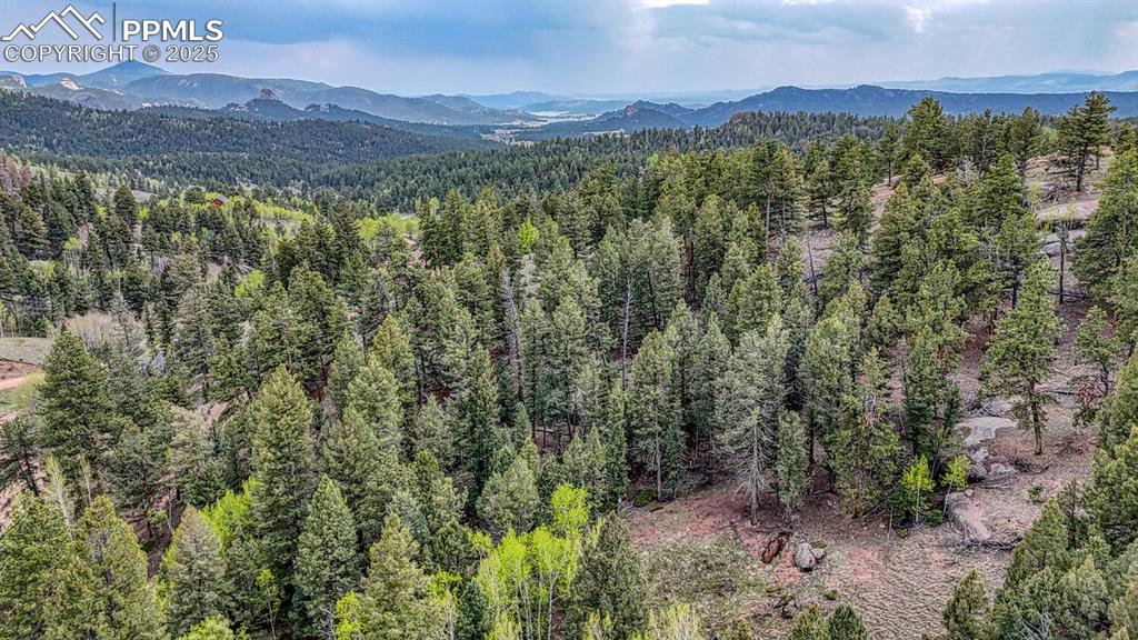 918 Pinon Lane Florissant CO 80816