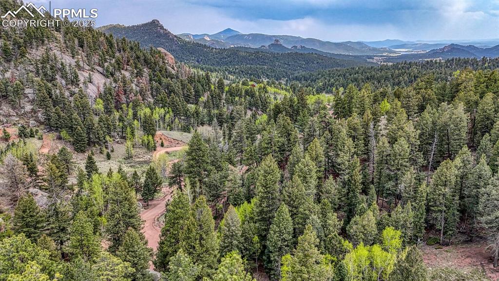 918 Pinon Lane Florissant CO 80816