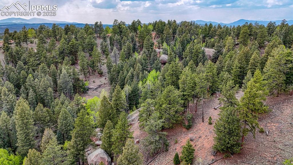 918 Pinon Lane Florissant CO 80816