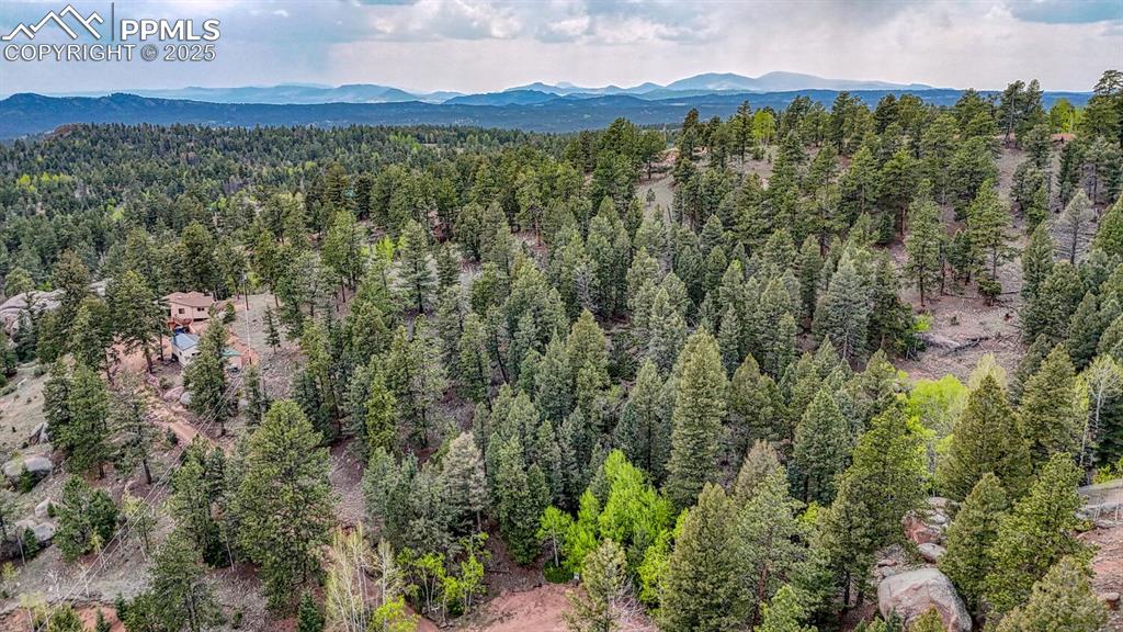 918 Pinon Lane Florissant CO 80816