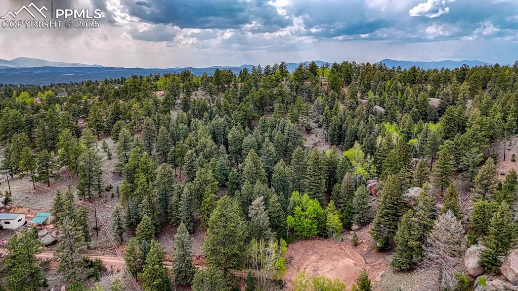 918 Pinon Lane Florissant CO 80816