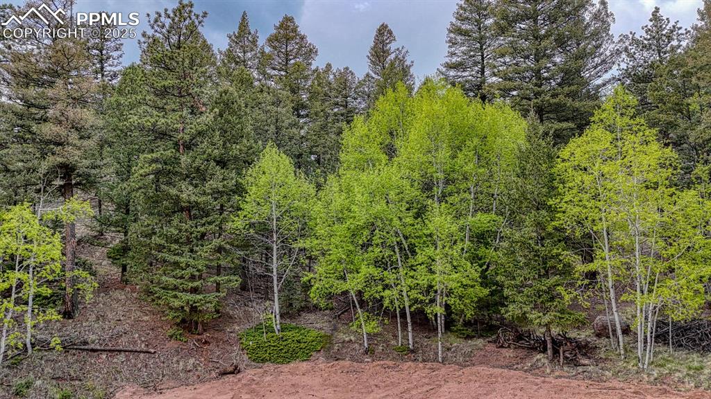 918 Pinon Lane Florissant CO 80816