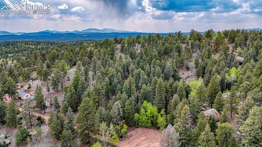 918 Pinon Lane Florissant CO 80816