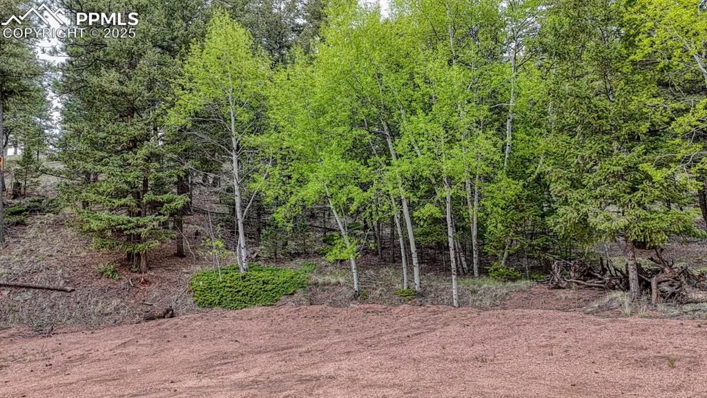 918 Pinon Lane Florissant CO 80816