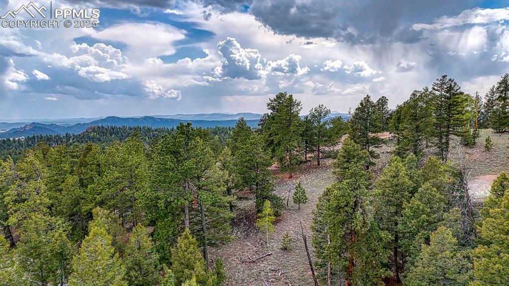 918 Pinon Lane Florissant CO 80816
