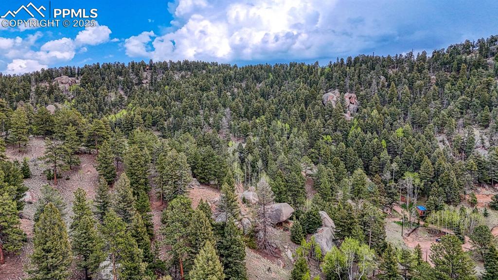 918 Pinon Lane Florissant CO 80816