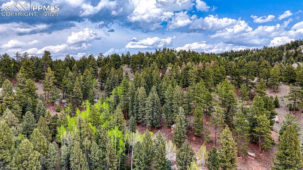 918 Pinon Lane Florissant CO 80816