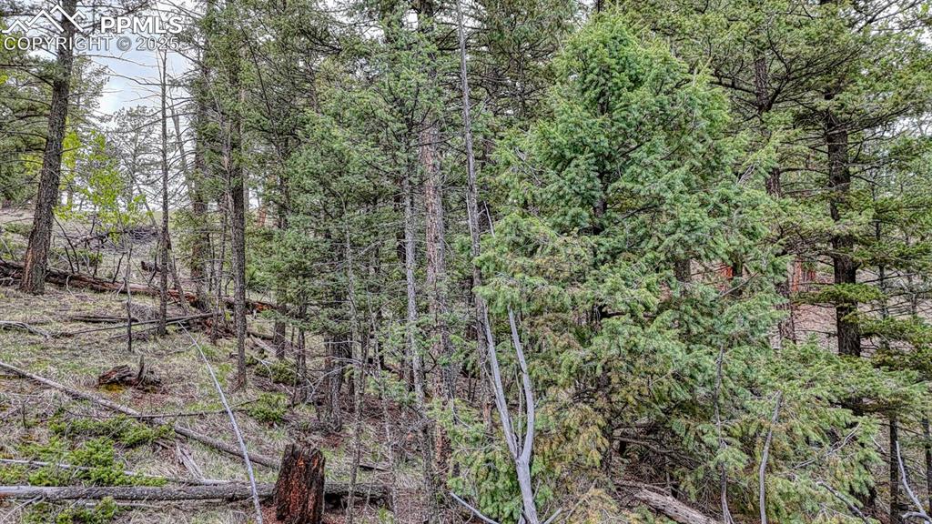 918 Pinon Lane Florissant CO 80816