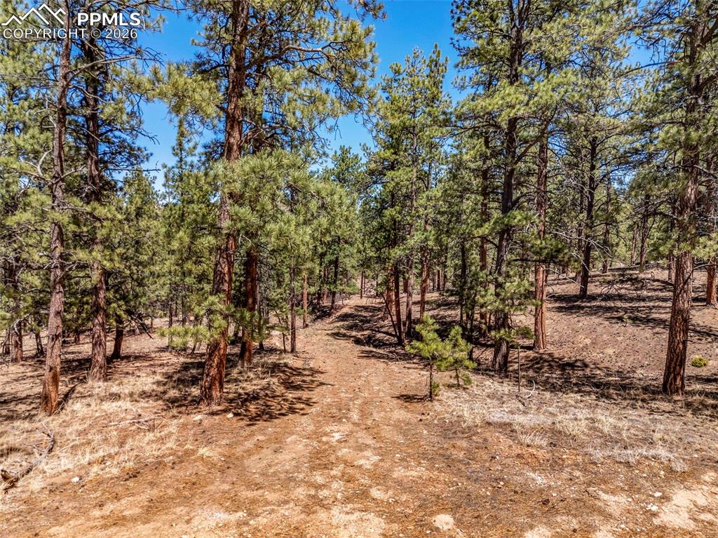 185 Sioux Trail Westcliffe CO 81252