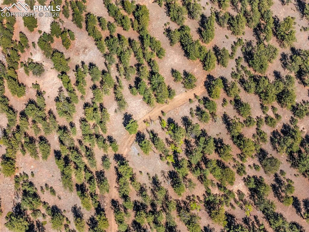 185 Sioux Trail Westcliffe CO 81252