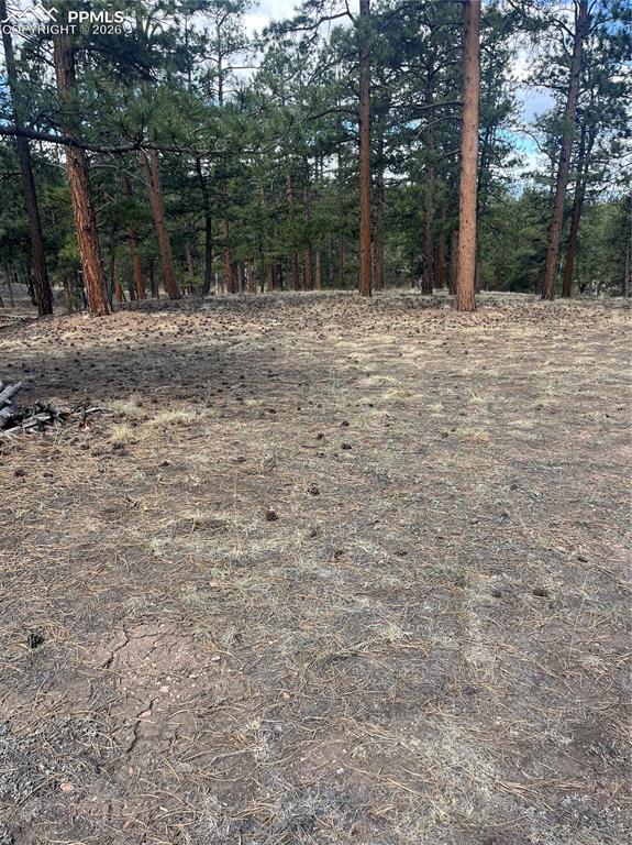 185 Sioux Trail Westcliffe CO 81252