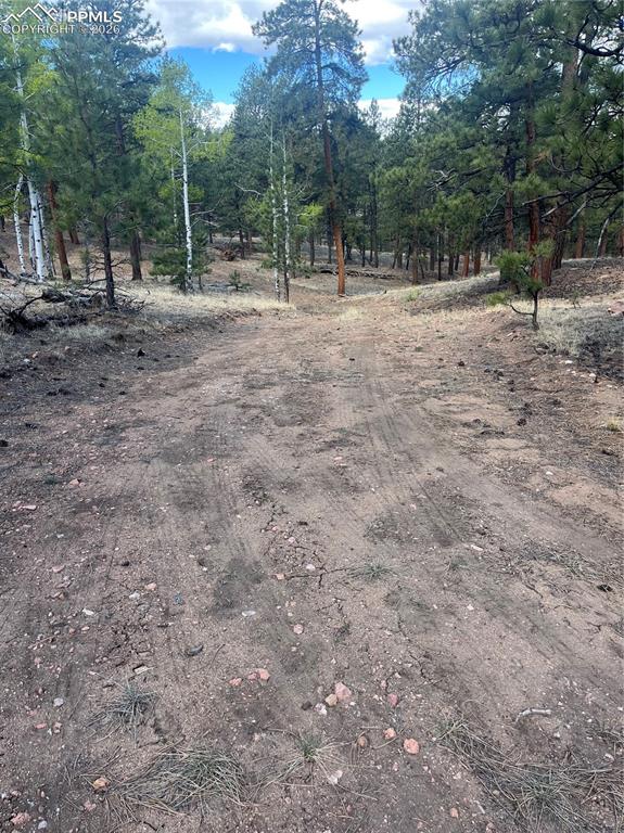 185 Sioux Trail Westcliffe CO 81252