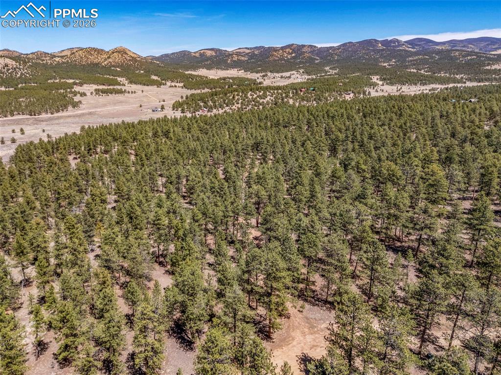 185 Sioux Trail Westcliffe CO 81252