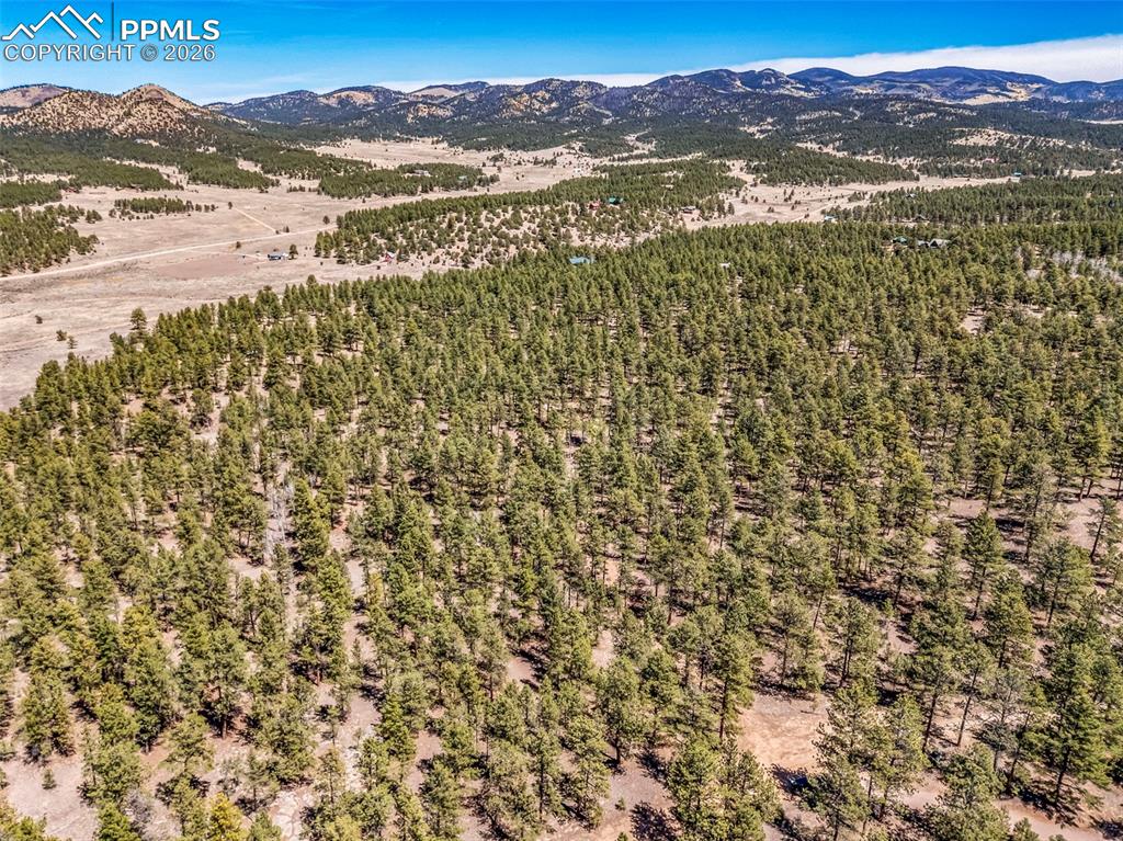 185 Sioux Trail Westcliffe CO 81252