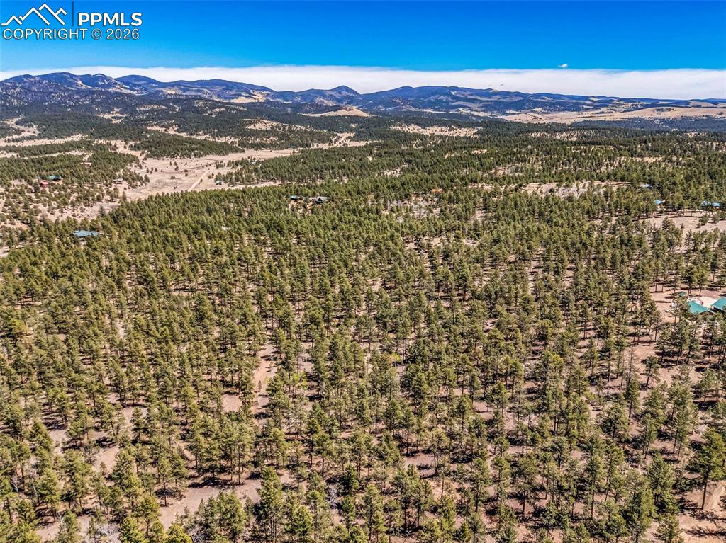 185 Sioux Trail Westcliffe CO 81252