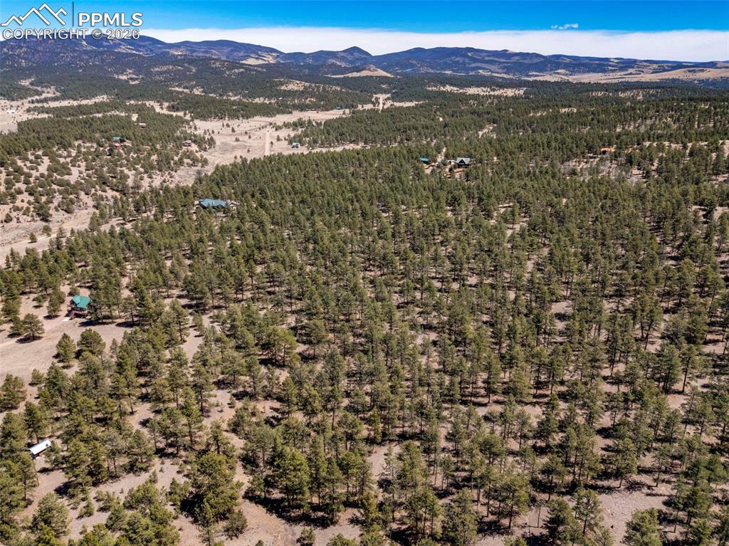 185 Sioux Trail Westcliffe CO 81252