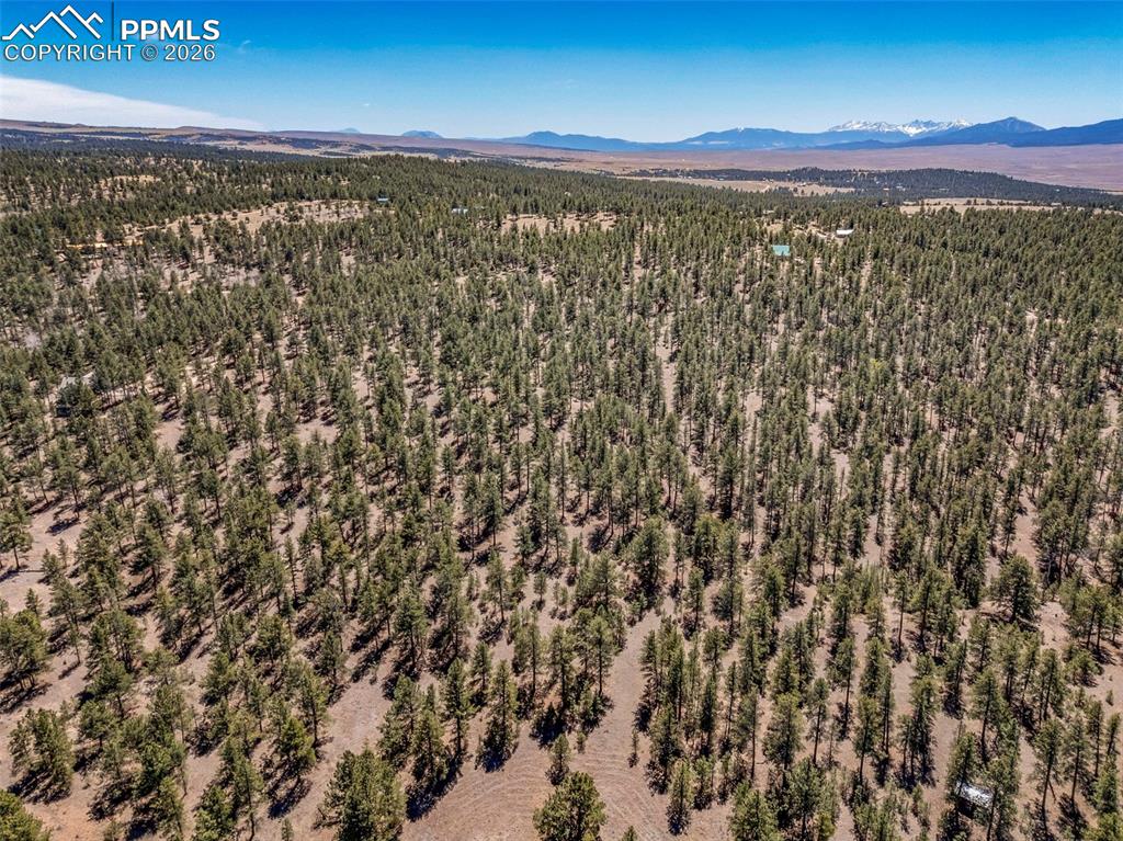 185 Sioux Trail Westcliffe CO 81252