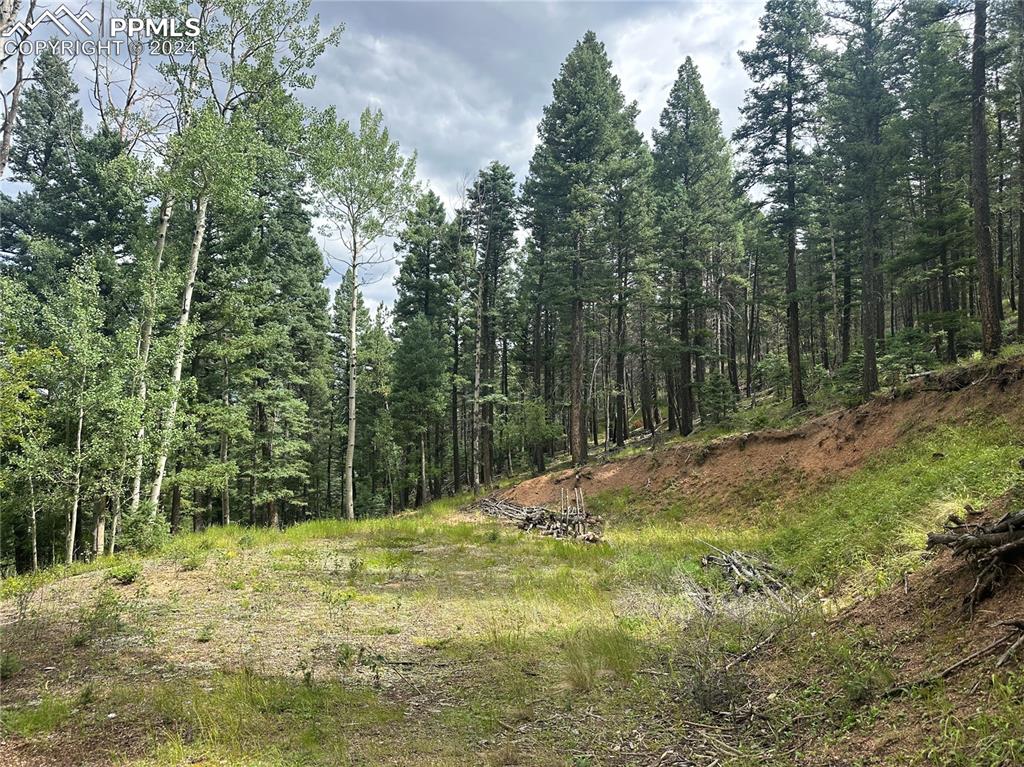 272 Fern Valley Road Manitou Springs CO 80829