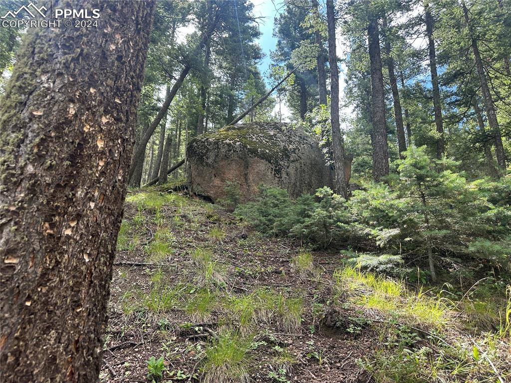 272 Fern Valley Road Manitou Springs CO 80829