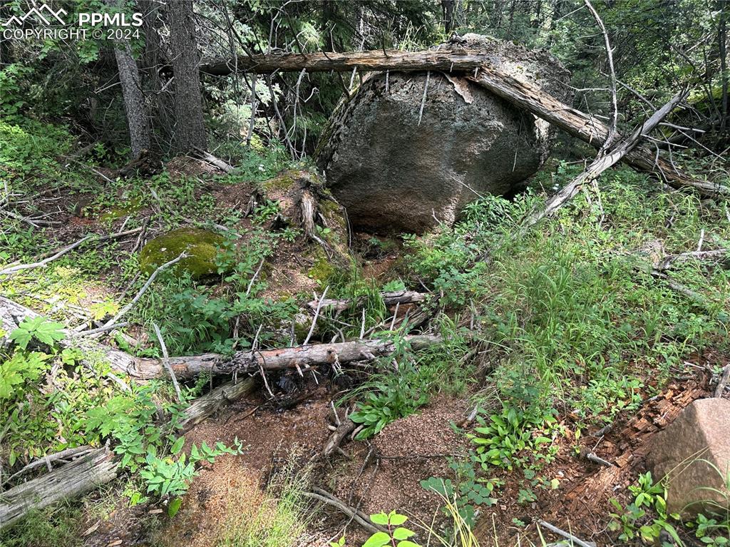 272 Fern Valley Road Manitou Springs CO 80829