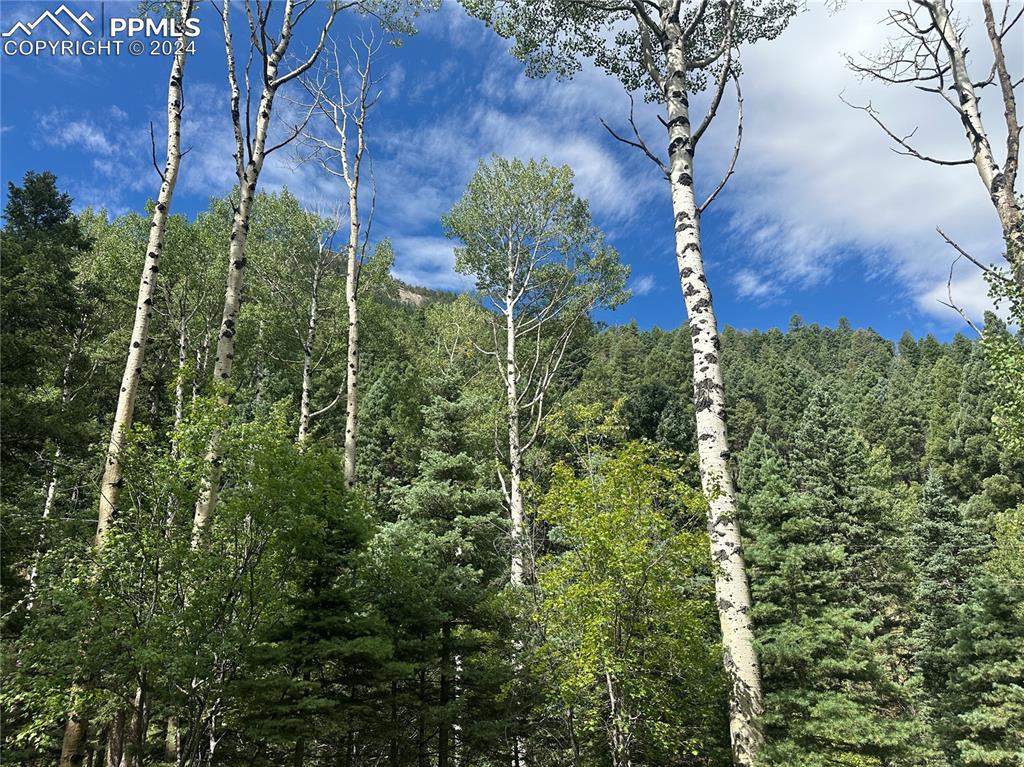 272 Fern Valley Road Manitou Springs CO 80829