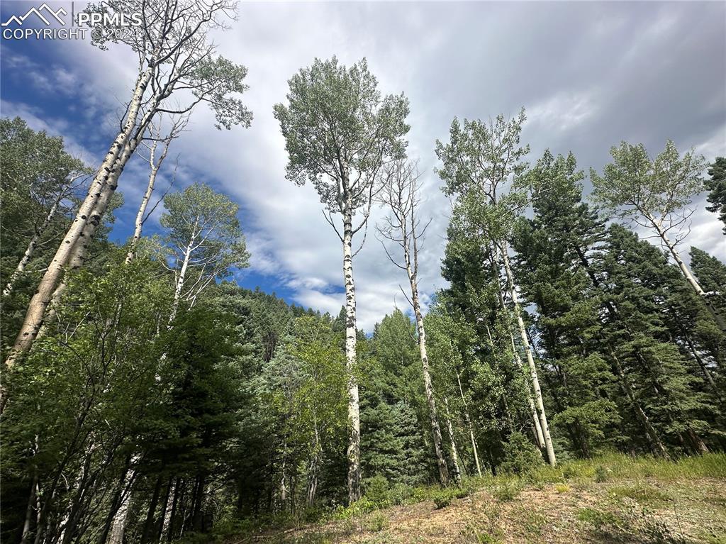 272 Fern Valley Road Manitou Springs CO 80829