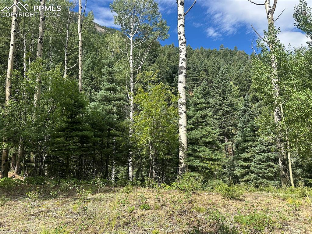 272 Fern Valley Road Manitou Springs CO 80829