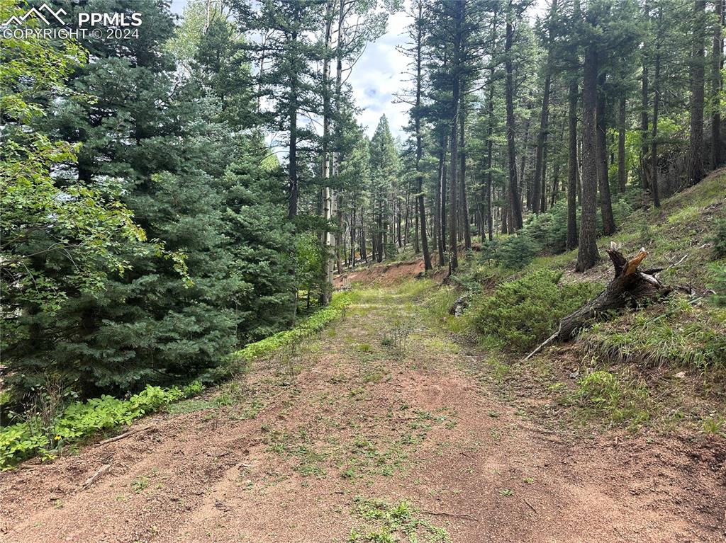 272 Fern Valley Road Manitou Springs CO 80829