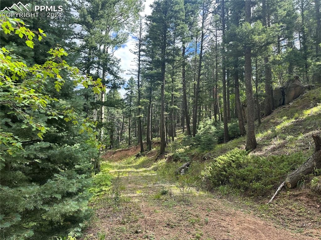 272 Fern Valley Road Manitou Springs CO 80829