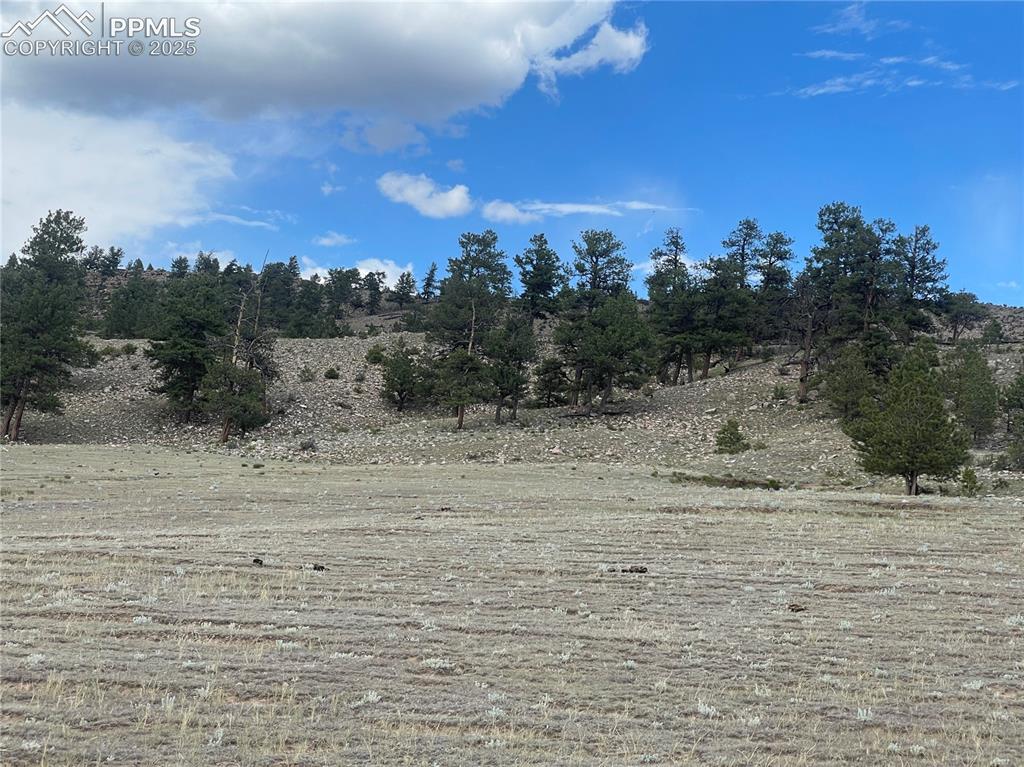 00 Lakeview Drive Hartsel CO 80449