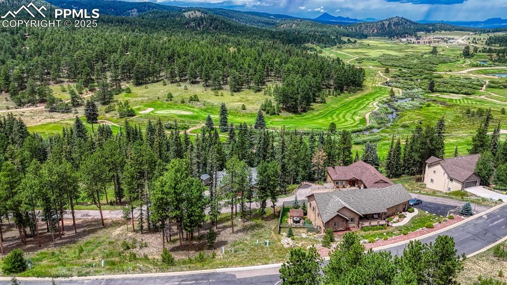 215 Iron Eagle Point Woodland Park CO 80863