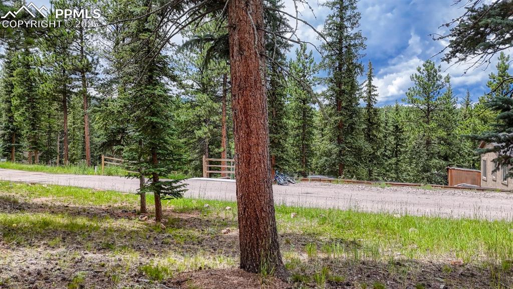 215 Iron Eagle Point Woodland Park CO 80863