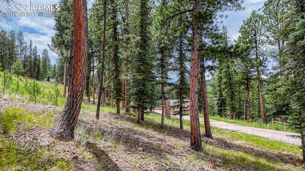215 Iron Eagle Point Woodland Park CO 80863