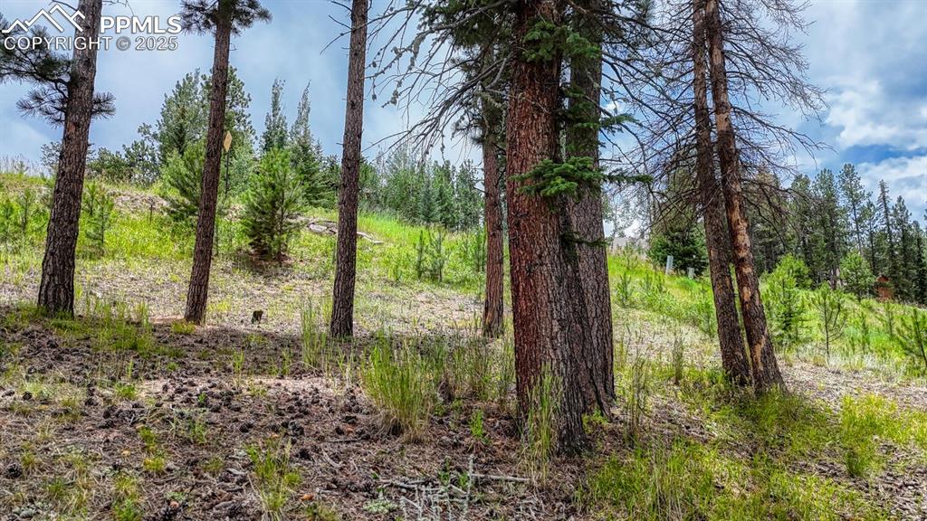 215 Iron Eagle Point Woodland Park CO 80863