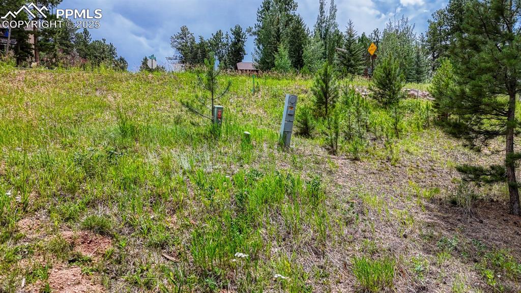 215 Iron Eagle Point Woodland Park CO 80863