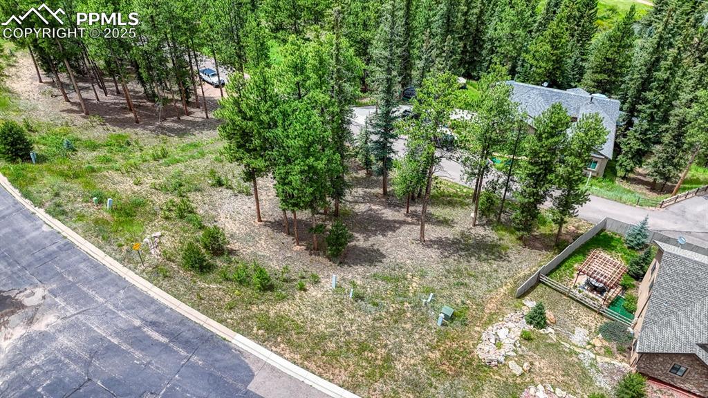 215 Iron Eagle Point Woodland Park CO 80863